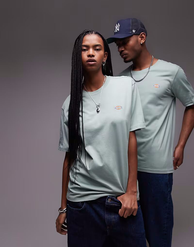 

Футболка с маленьким логотипом Dickies mapleton светло-зеленого цвета