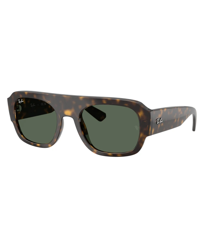 

Стильные солнцезащитные очки RB2218 черного цвета. Ray-Ban, коричневый