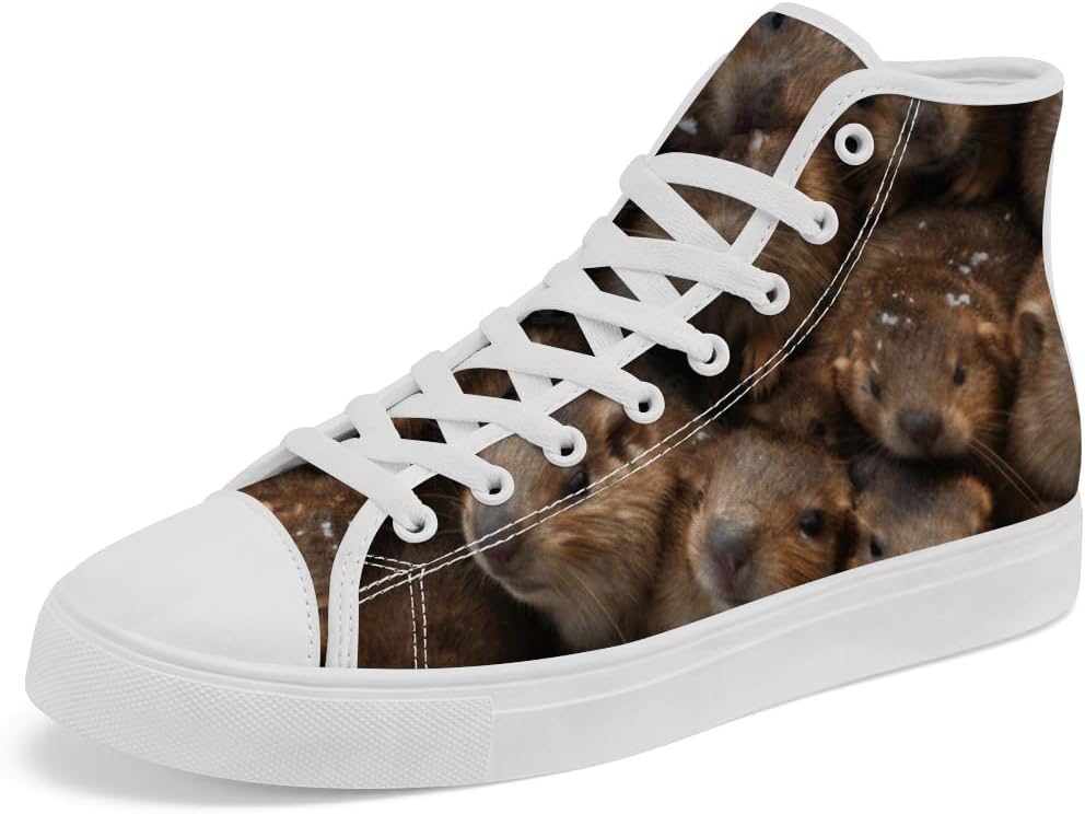 

Кеды на высокой подошве Groundhog из канваса, высокие кроссовки, повседневные шнурованные обувь для мужчин и женщин Chebing, 611 Brown