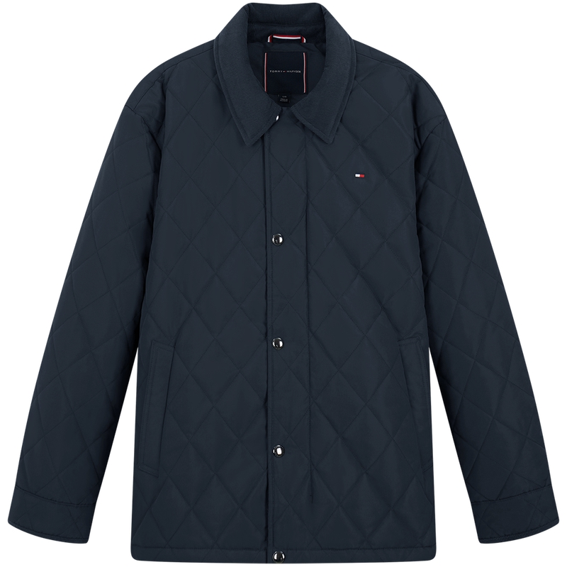 

Tommy Hilfiger Пуховик мужской, Navy Blue DW5