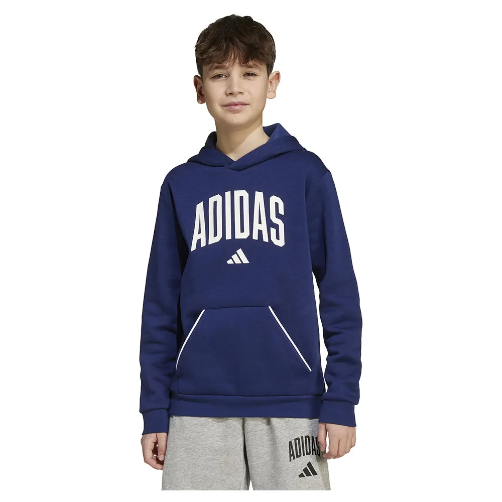 

Худи adidas Seasonals Essentials Collegiate Typography, синий