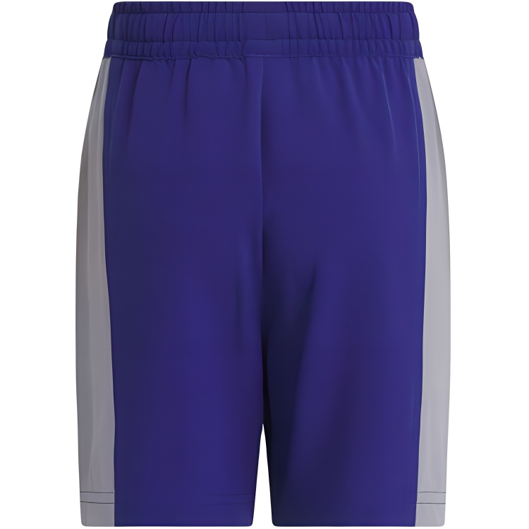 Adidas Шорты детские Victory Blue/Light Gray для детей 3-7 лет — фото 3