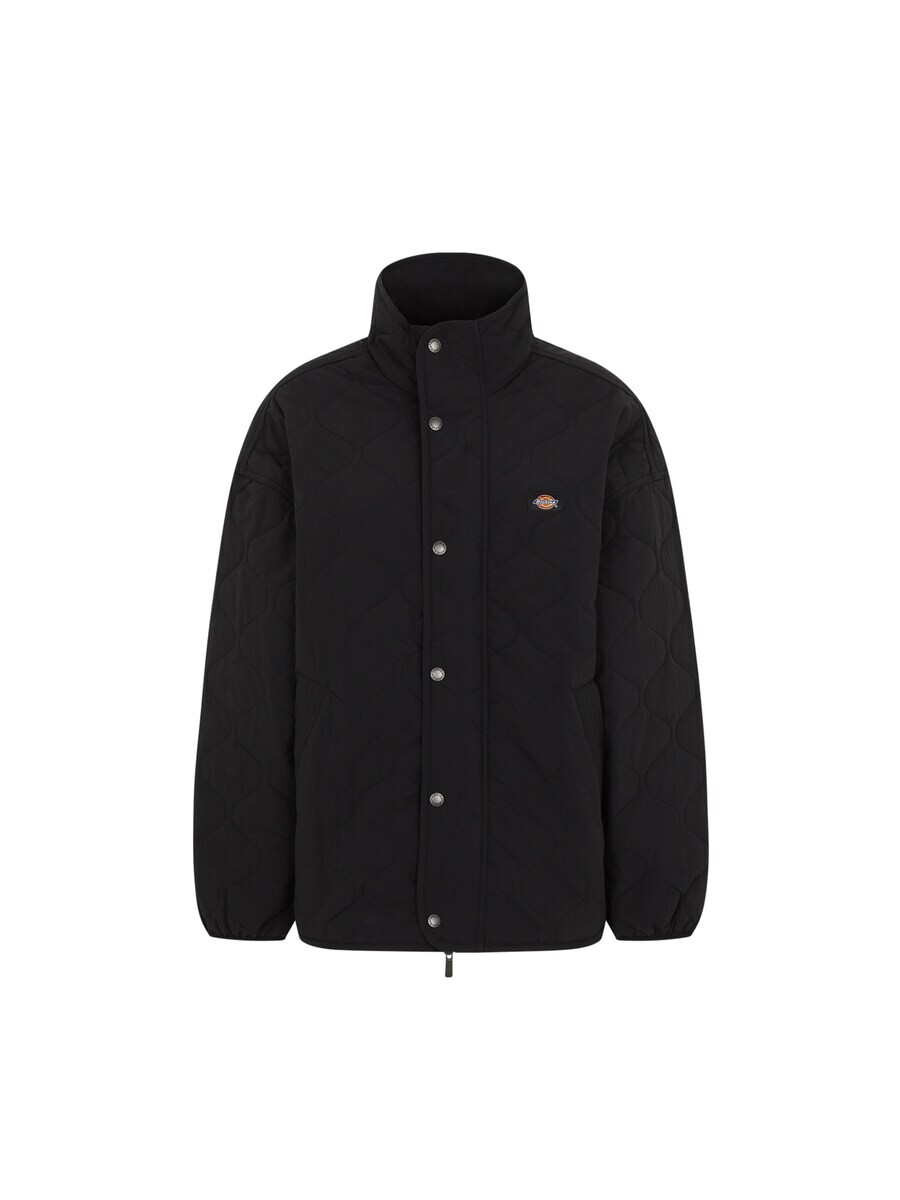 

Зимняя куртка Dickies THORSBY, черный