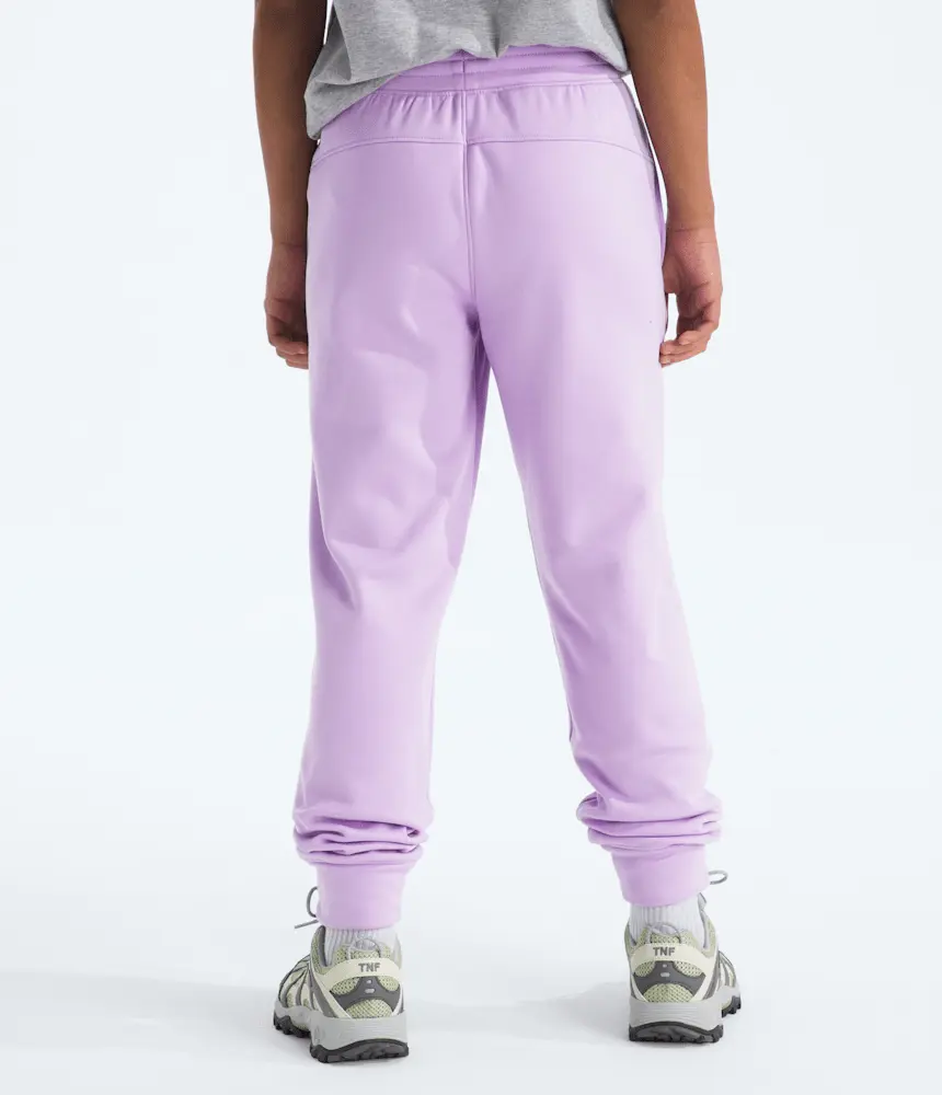 Флисовые спортивные брюки TNF Performance для мальчиков и девочек The North Face, Lite Lilac — фото 4
