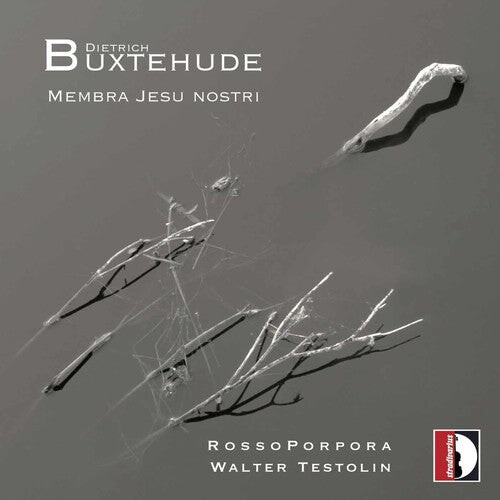 

CD диск Buxtehude / Rossoporpora / Testolin: Membra Jesu Nostri