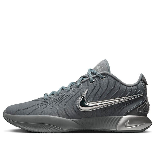 

Кроссовки леброн 21 Nike, серый