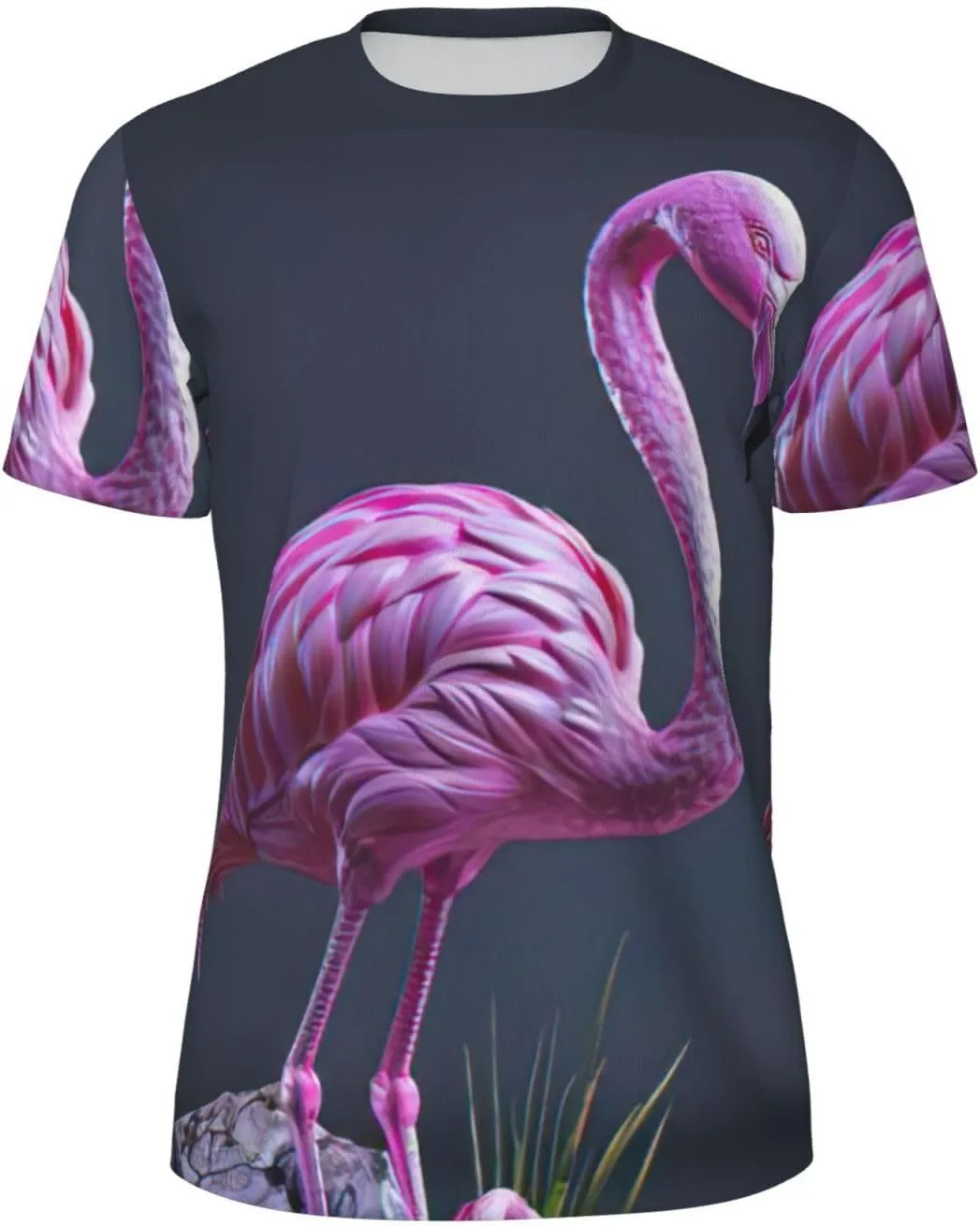 

Футболка мужская с принтом Hollow Flamingo для спорта и повседневной носки LIXLZH