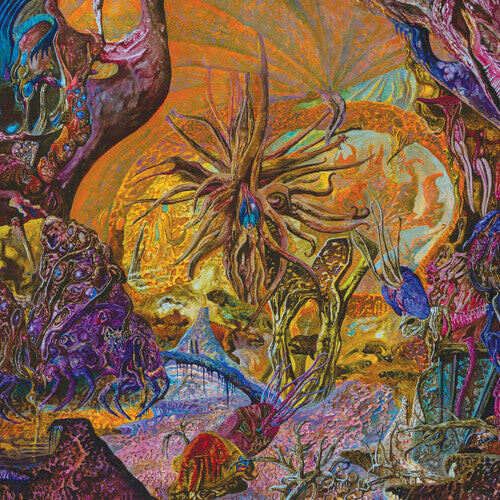 

Виниловая пластинка Slimelord: Chytridiomycosis Relinquished
