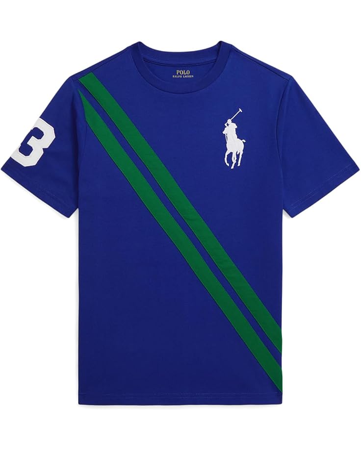 

Футболка Polo Ralph Lauren Kids Big Pony Heavyweight Cotton Jersey Tee, цвет Classic Azure/Atheltic Green