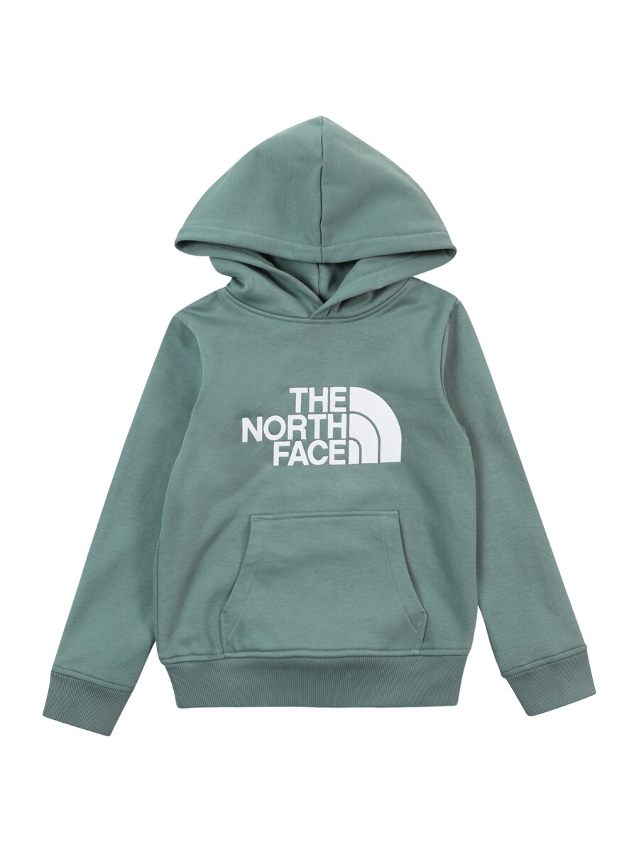 

Спортивная толстовка THE NORTH FACE DREW PEAK, изумрудный