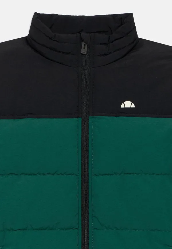 Легкая куртка neutron Ellesse, Dark Green/Black — фото 4
