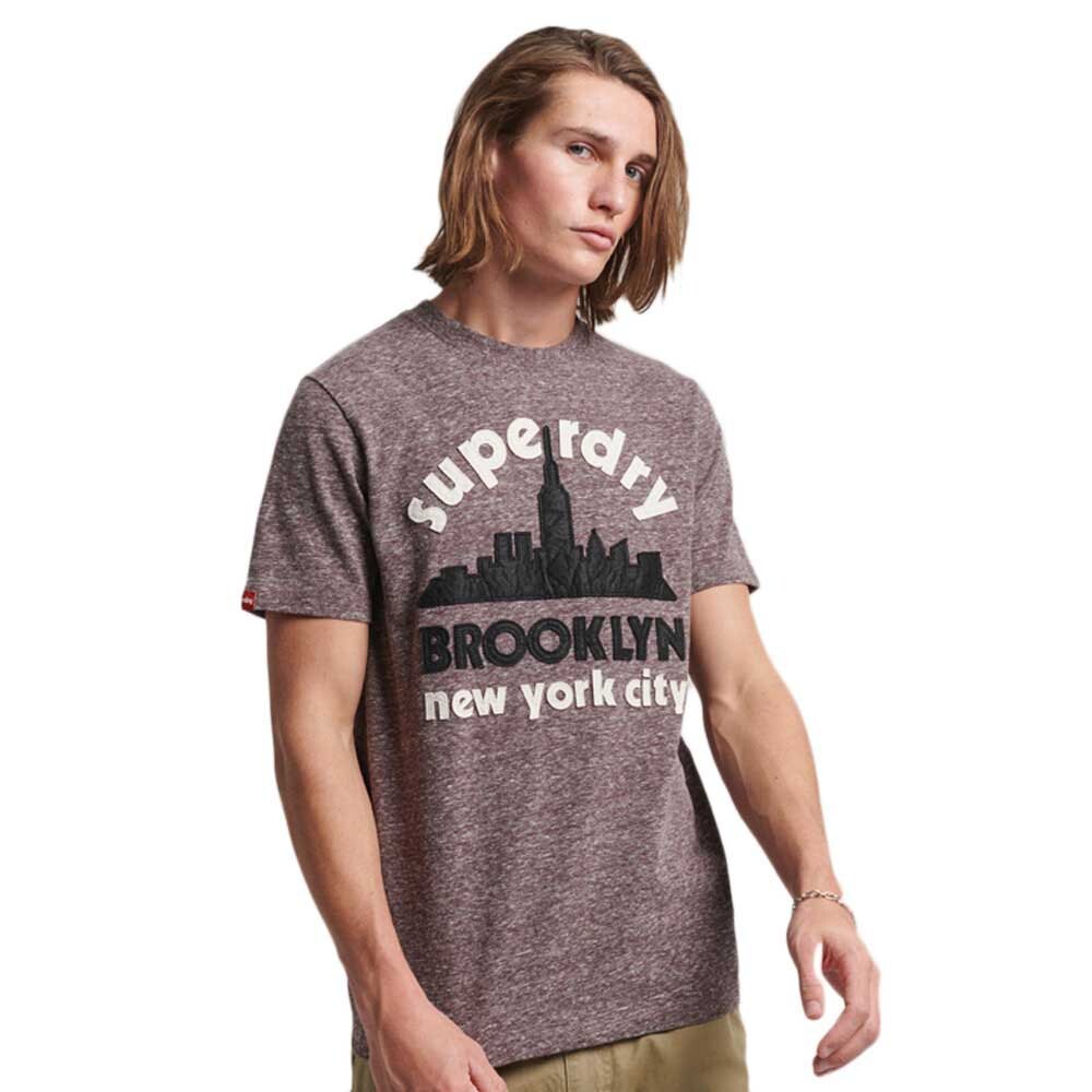 

Футболка Superdry Vintage Great Outdoors APQ, серый