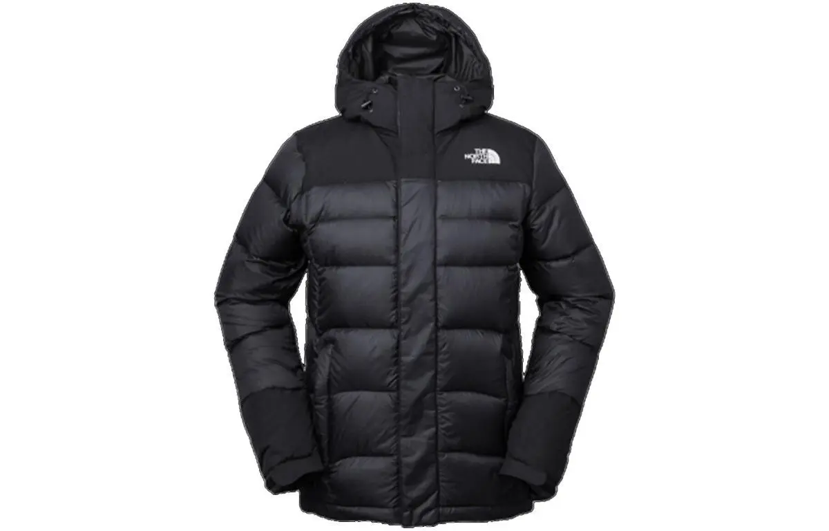 

Куртка мужская черная The North Face, черный