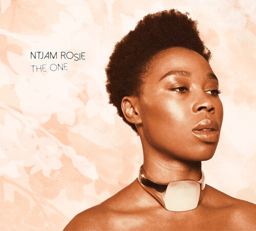 

CD диск Rosie, Ntjam: One