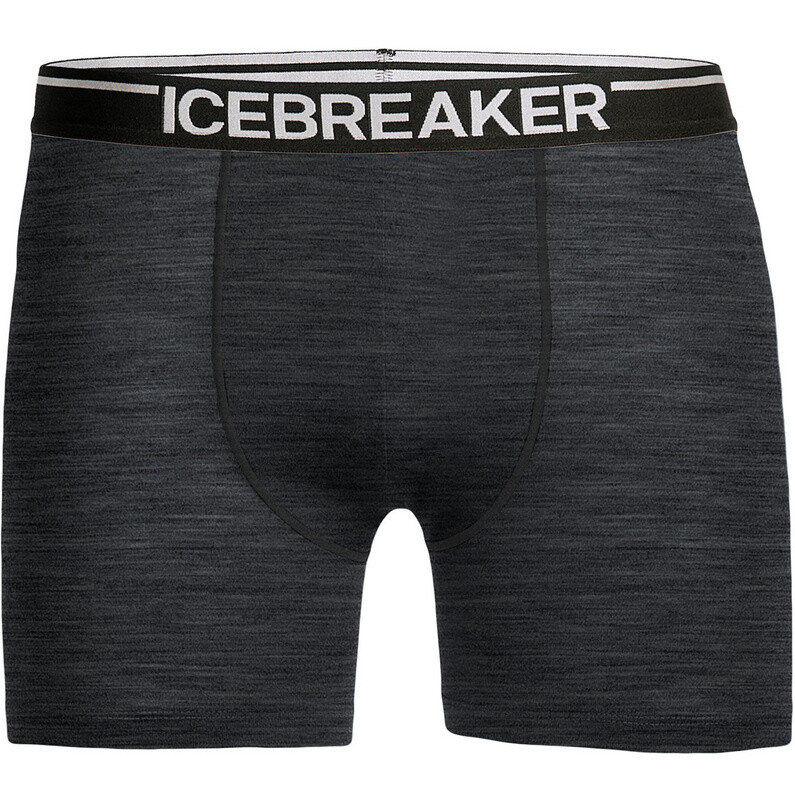 

Мужские боксеры Anatomica Icebreaker, черный