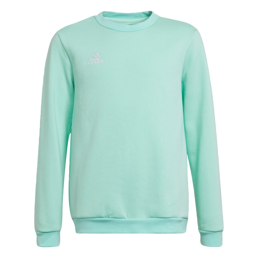 

Спортивная толстовка ADIDAS PERFORMANCE Entrada 22, цвет Turquoise