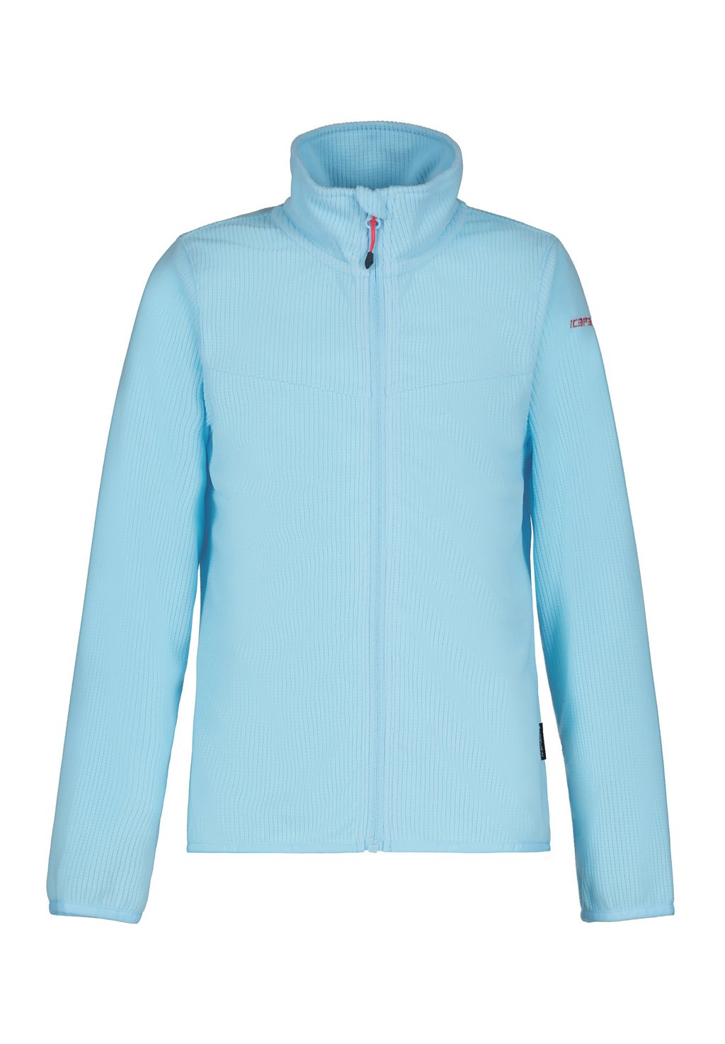 

Флисовая куртка KIMBALL Icepeak, синий