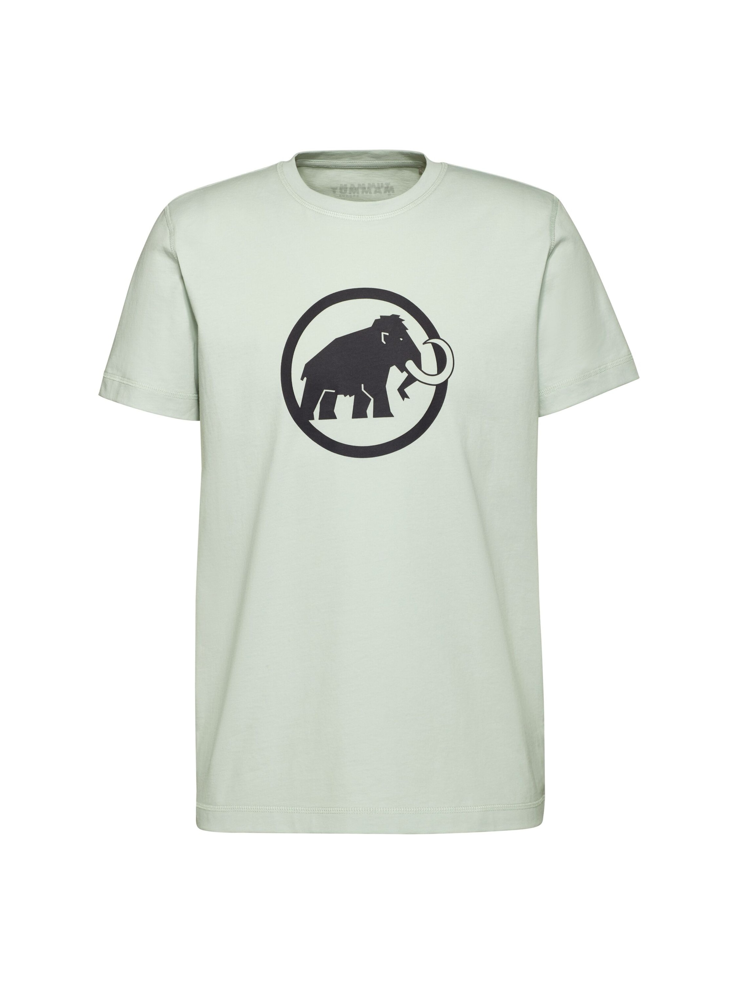 

MAMMUT Футболка Performance в пастельно-зеленом цвете