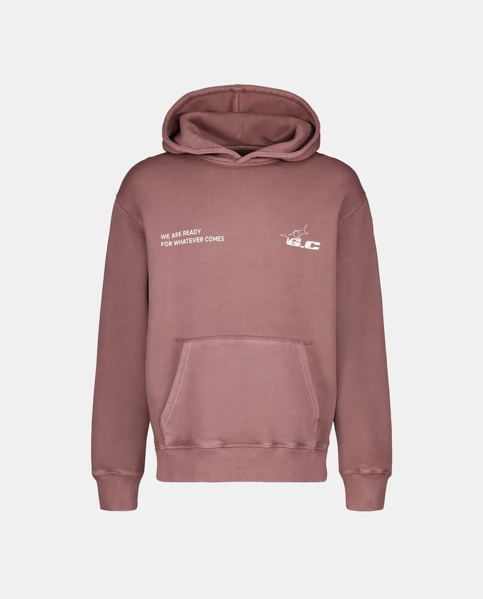 

Мужская толстовка с капюшоном и фантазийным принтом Green Coast, баклажановый