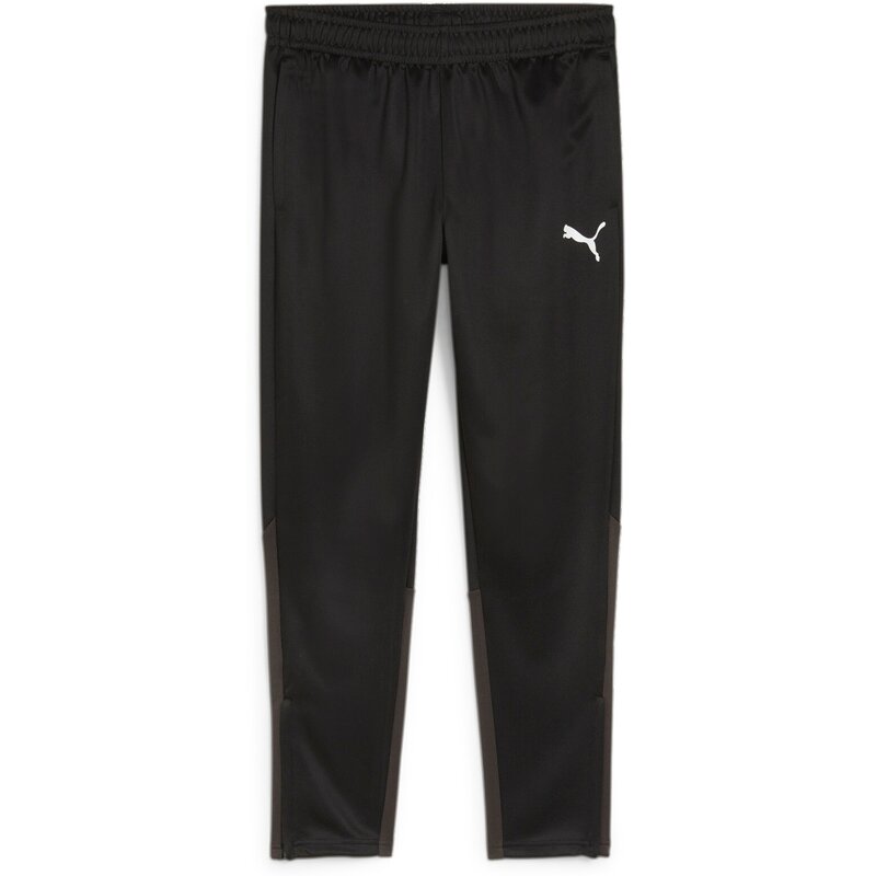 

Спортивные брюки Sporthose TeamGoal Puma, белый