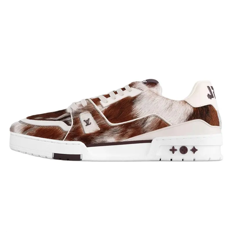 LOUIS VUITTON Кроссовки для скейтбординга Trainer Low-Top, унисекс, коричневые