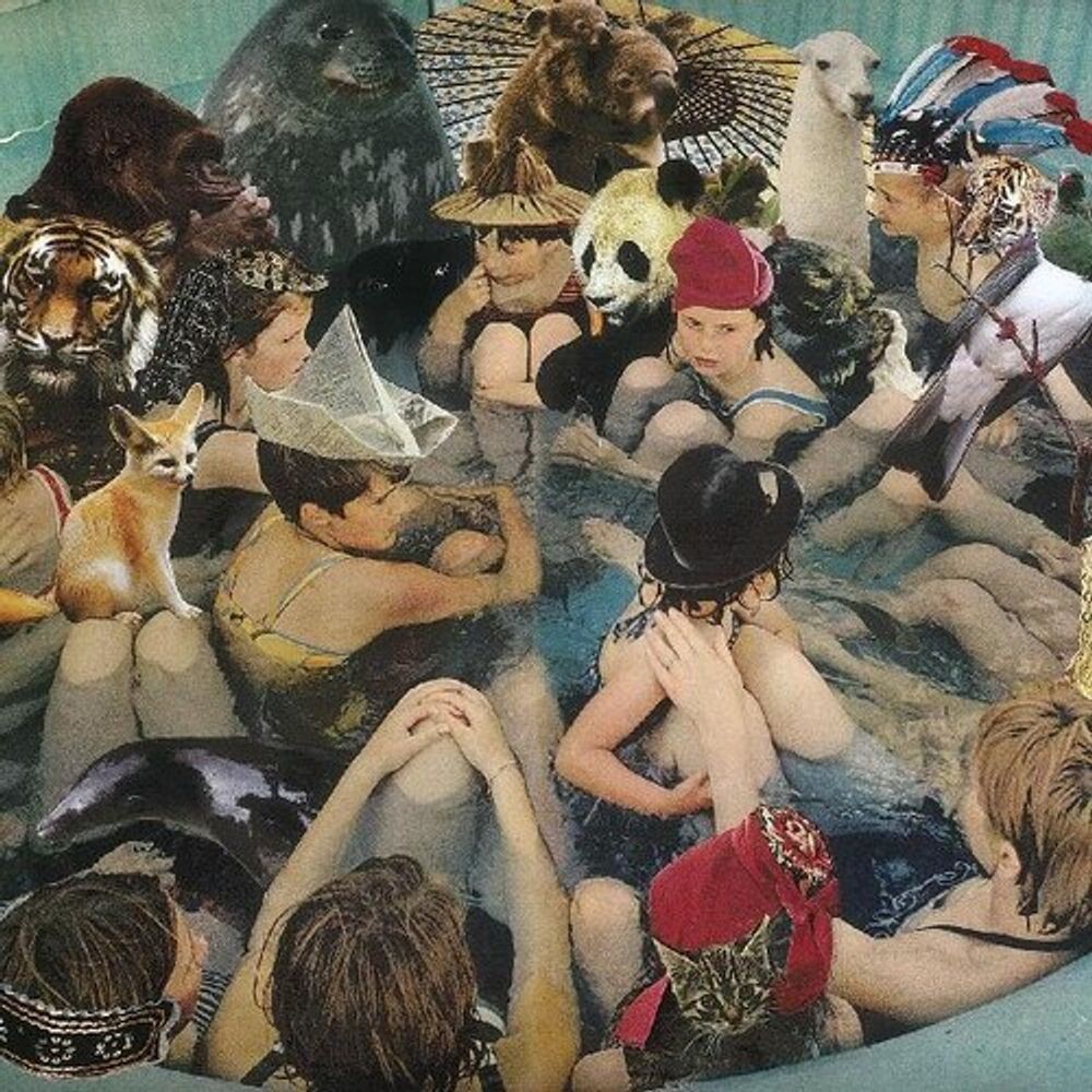 

Виниловая пластинка LP Person Pitch - Panda Bear