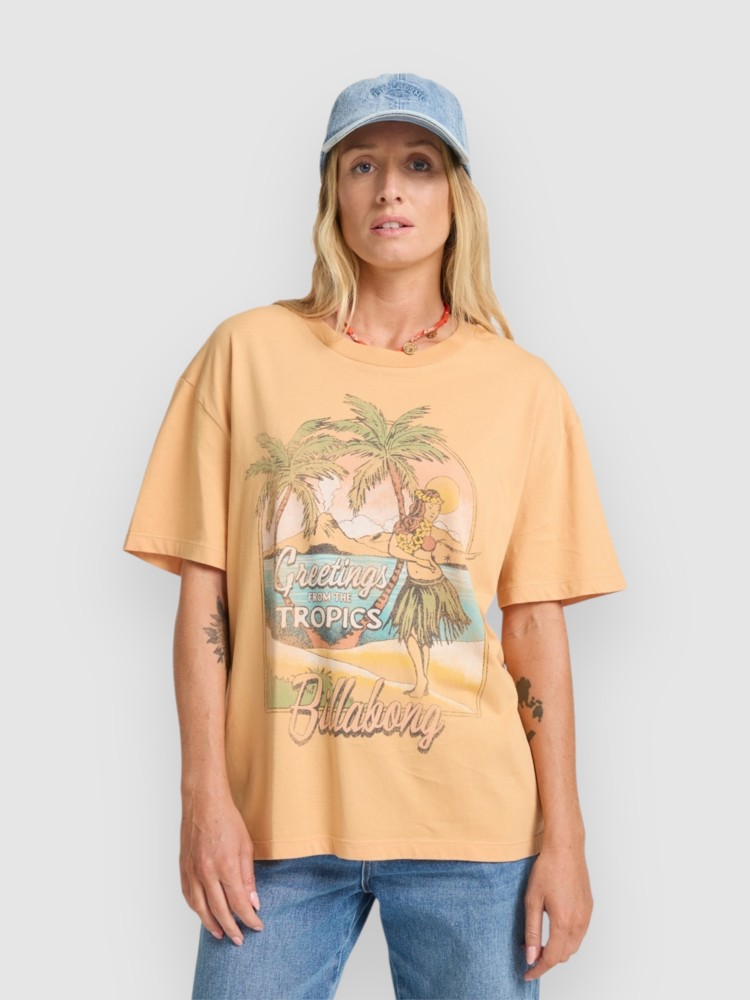 

Футболка Billabong Vibe Time T-Shirt, clay