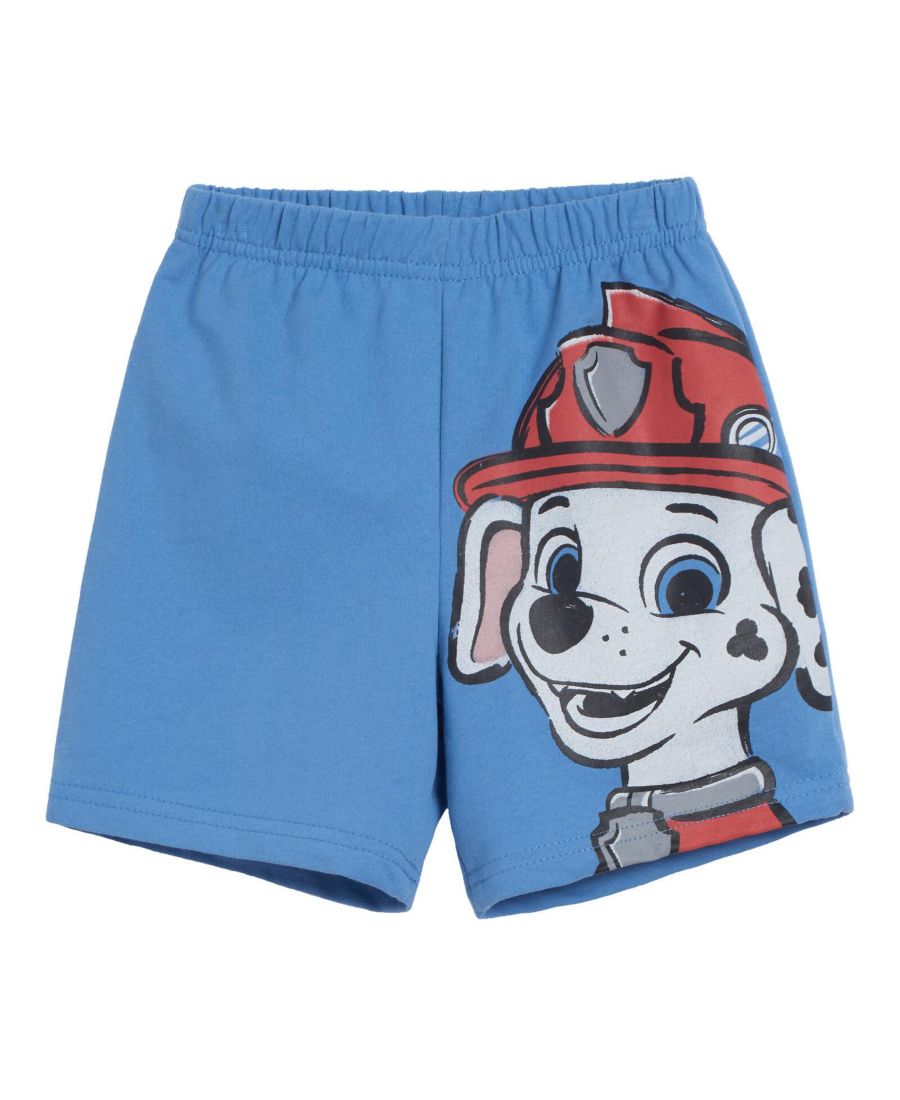 Детская толстовка с капюшоном и шорты из французской махровой ткани Paw Patrol, Blue, chase / marshall — фото 4