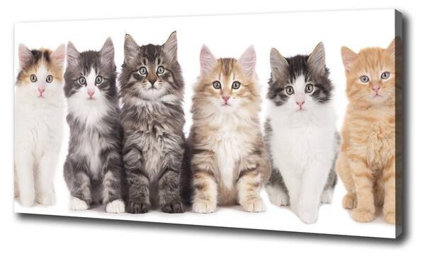 

Фреска Tulup Sechs Katzen, коричневый