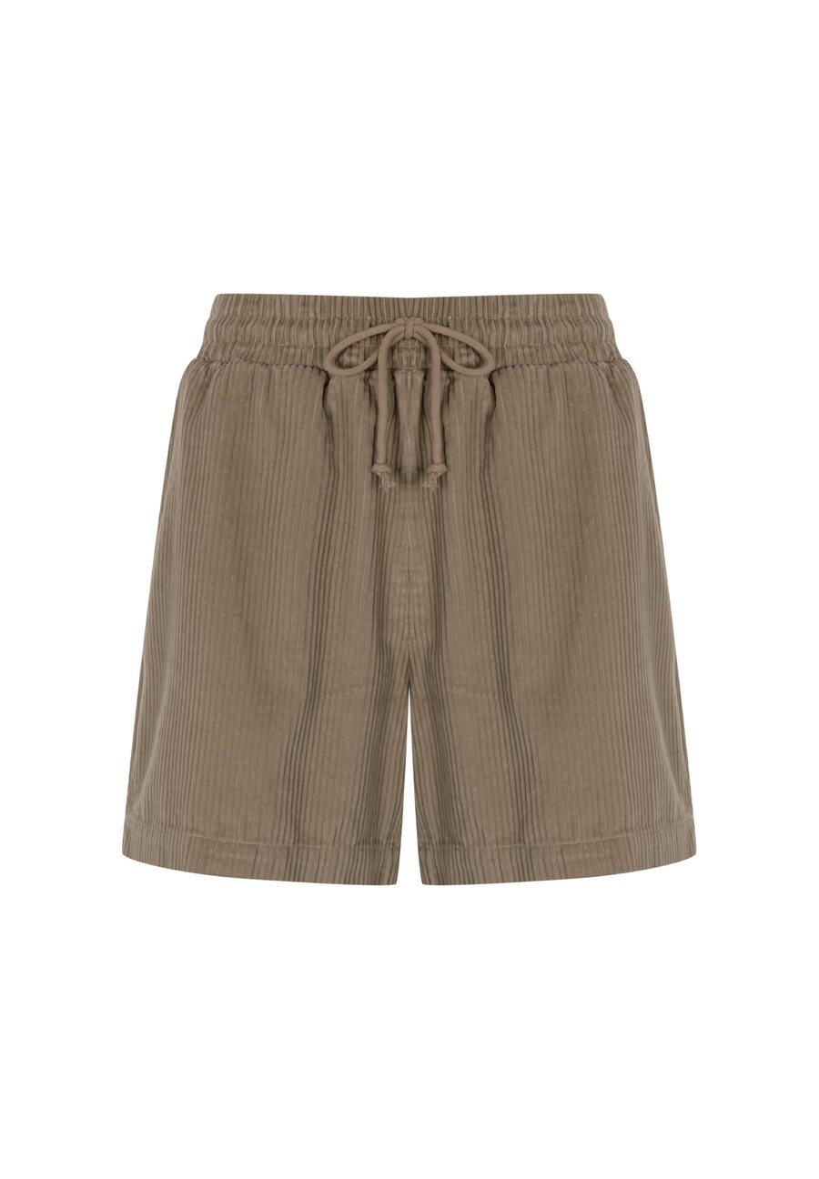 

Повседневные брюки FRESHLIONS Mira, Light brown