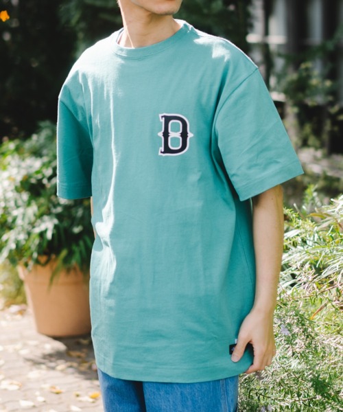 

Футболка с коротким рукавом, принт, бренд Dickies, зеленый