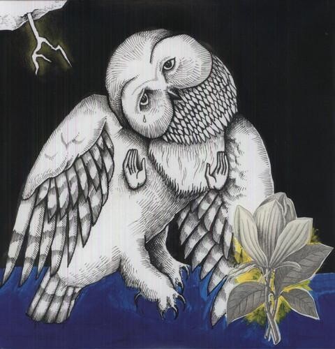 

Виниловая пластинка Songs: Ohia - Magnolia Electric Company Co