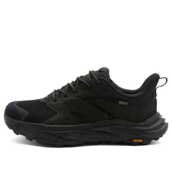 

Кроссовки anacapa 2 low gore-tex 'triple black' Hoka One One, черный