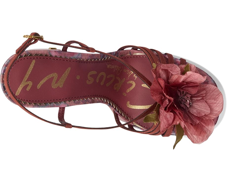 Туфли Circus NY by Sam Edelman Siena Flower, цвет Spiced Merlot Multi — фото 2