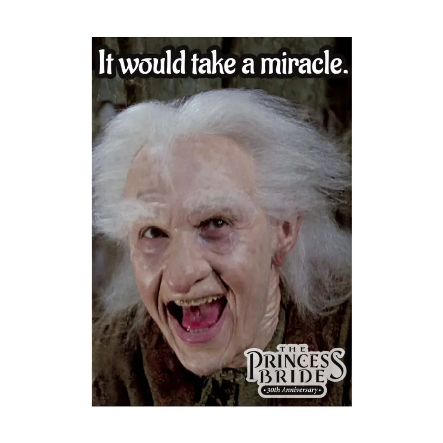 

Стандартный размер CCG — Princess Bride, Miracle (10 упаковок по 50 шт.), Card Sleeves - Art (Legion Events)