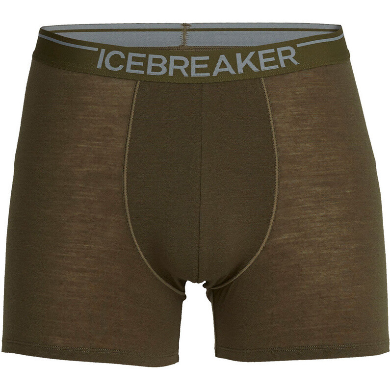 

Мужские боксеры Anatomica Weekdays Icebreaker, зеленый