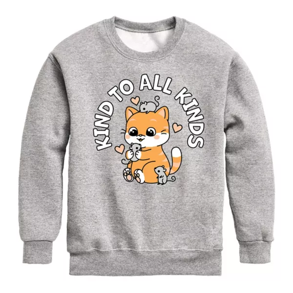 

Флисовая толстовка для мальчиков 8-20 лет на любой вкус Licensed Character, серый
