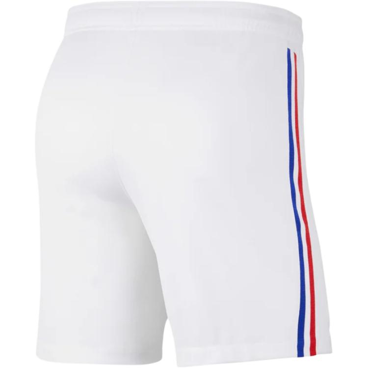 Футболка FFF 2020 Stadium Home/Away Soccer Bottom Men's Nike, белый/мультиколор — фото 3