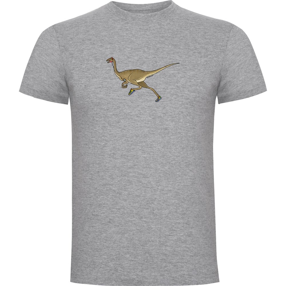 

Футболка Kruskis Dino Run, серый