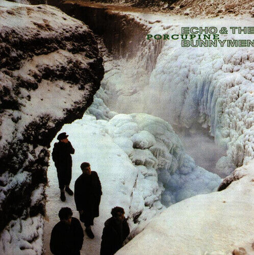 

Виниловая пластинка Echo & Bunnymen - Porcupine