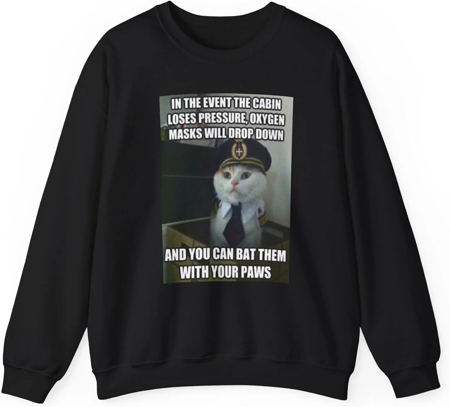 

Толстовка Unisex Heavy Blend с принтом "Капитан самолета Кот"