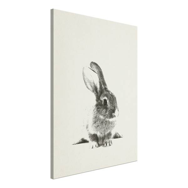 

Фреска Artgeist Fluffy Bunny, серый