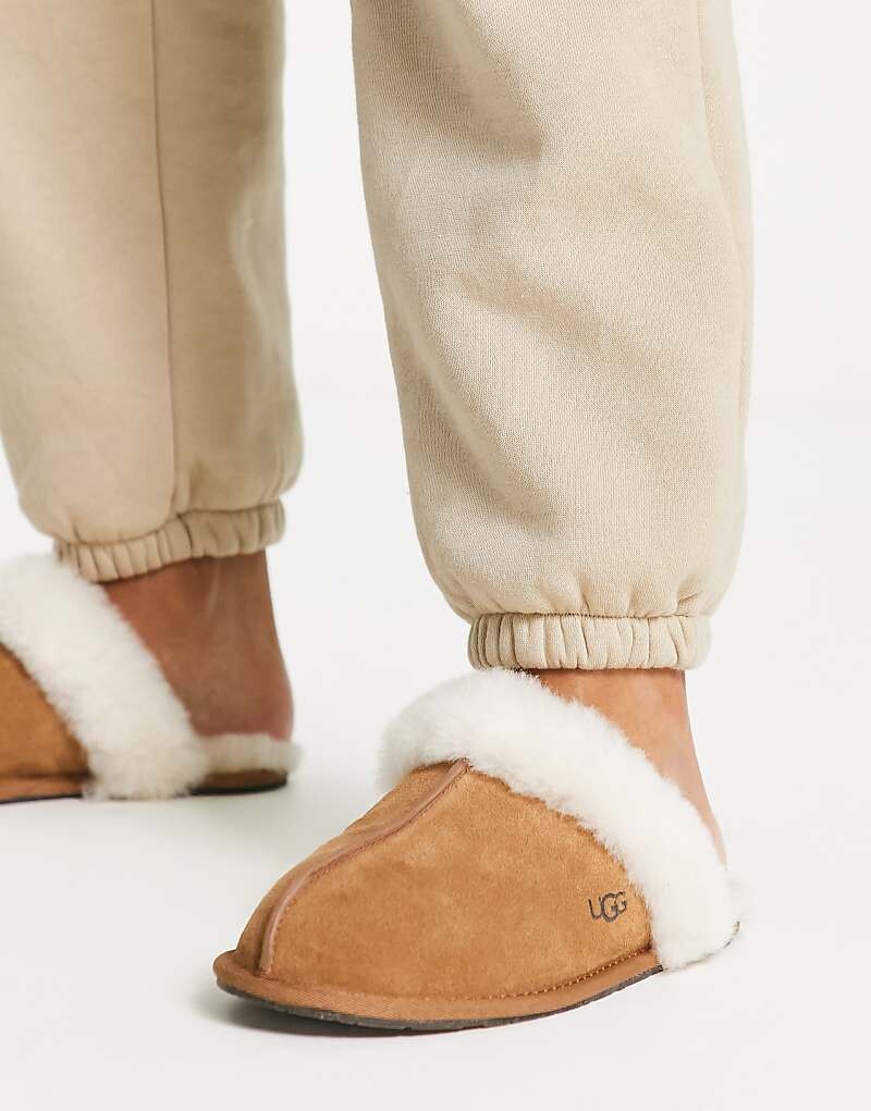 

Каштановые тапочки UGG Scuffette II
