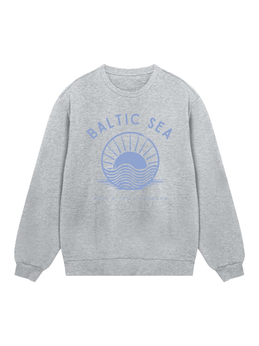 

Толстовка F4NT4STIC Baltic Sea Knut und Jan, серый