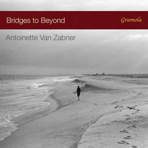 

CD диск Debussy / Faure / Granados / Van Zabner: Bridges to Beyond