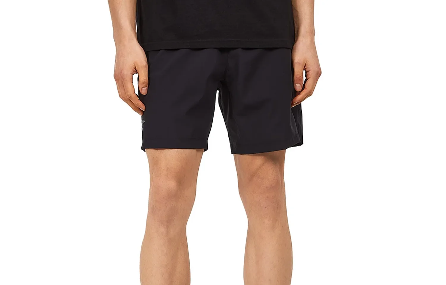 Шорты мужские Incendo Casual Arcteryx, Sandstone Brown/Canvas — фото 3