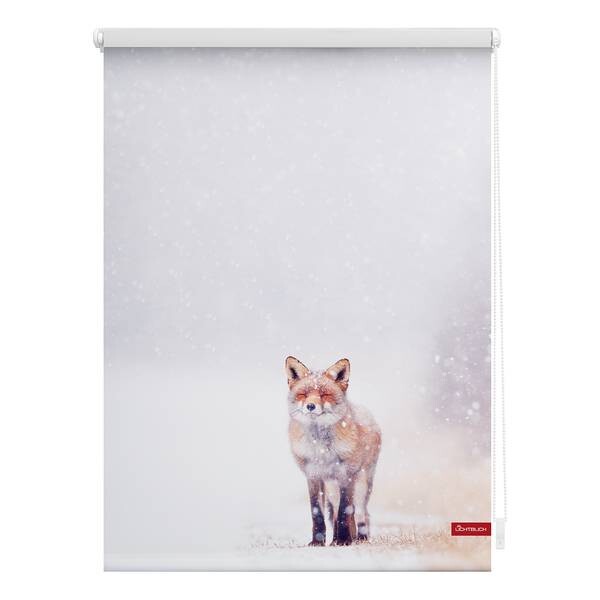 

Рулонные шторы Lichtblick Rentiere, 70x150x6 см цвет weiß/orange