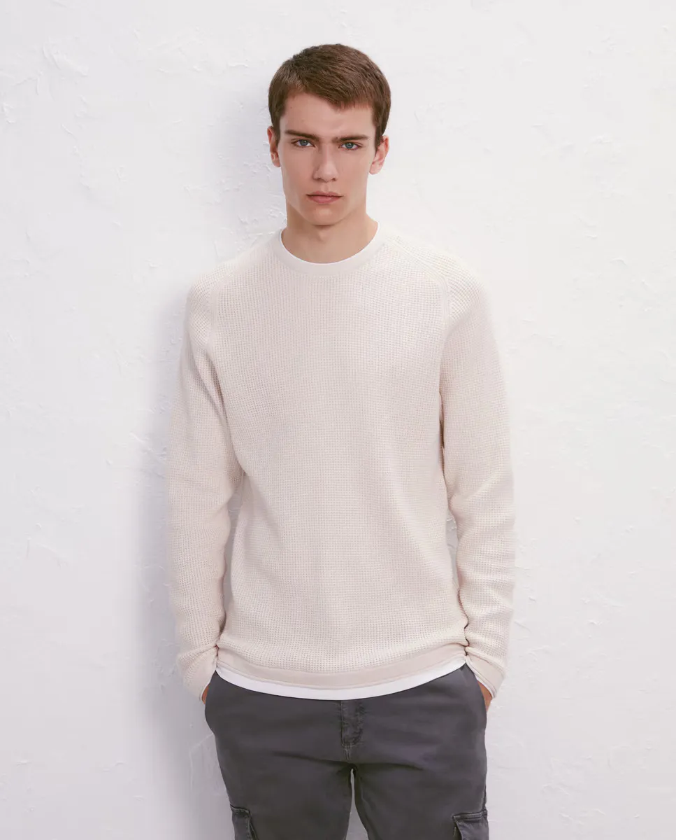 

Мужской свитер со структурой Easy Wear, цвет Crudo
