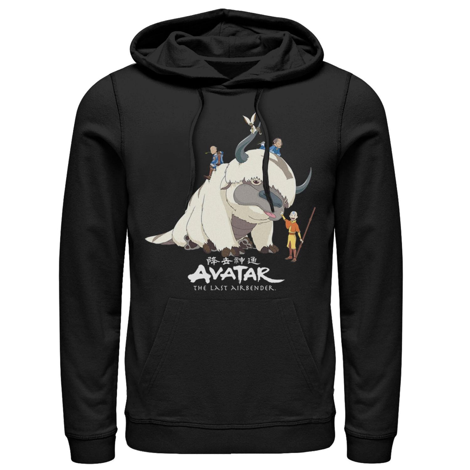 

Мужская толстовка с капюшоном Avatar: The Last Airbender Appa Ride Group Shot Licensed Character