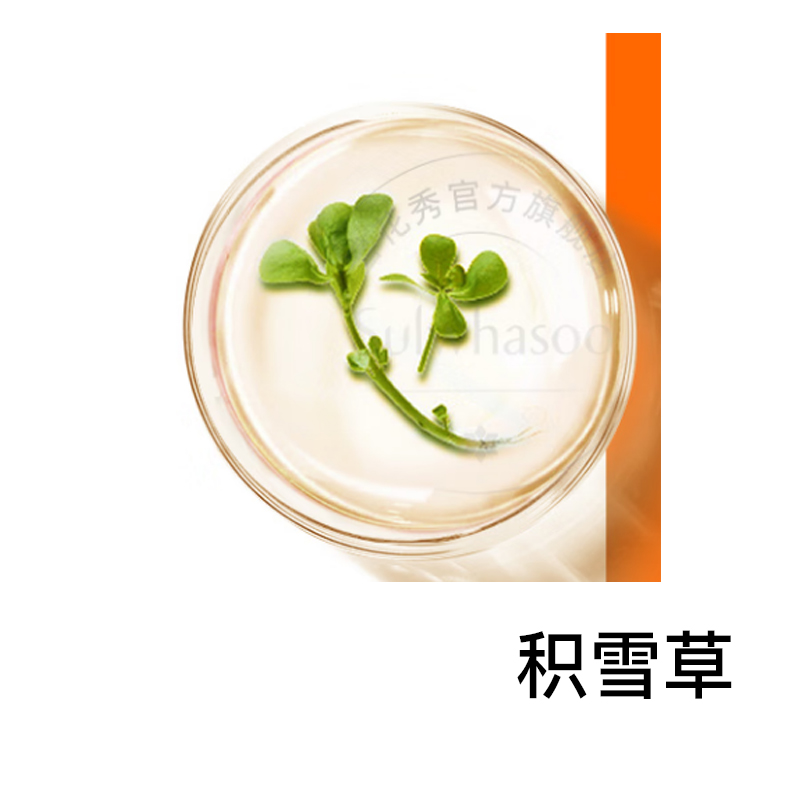 XUEHUAXIU Serpent Limited Ginseng сыворотка для мышц увлажняющая восстанавливающая для нормальной кожи 120мл Sulwhasoo — фото 3